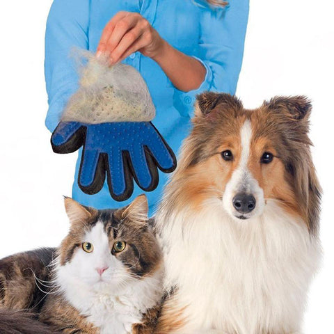 Brush Glove Pet Dog & Cat - FancyGad