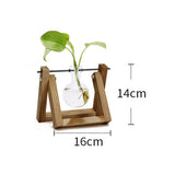 Creative Hydroponic Plant Transparent Vase